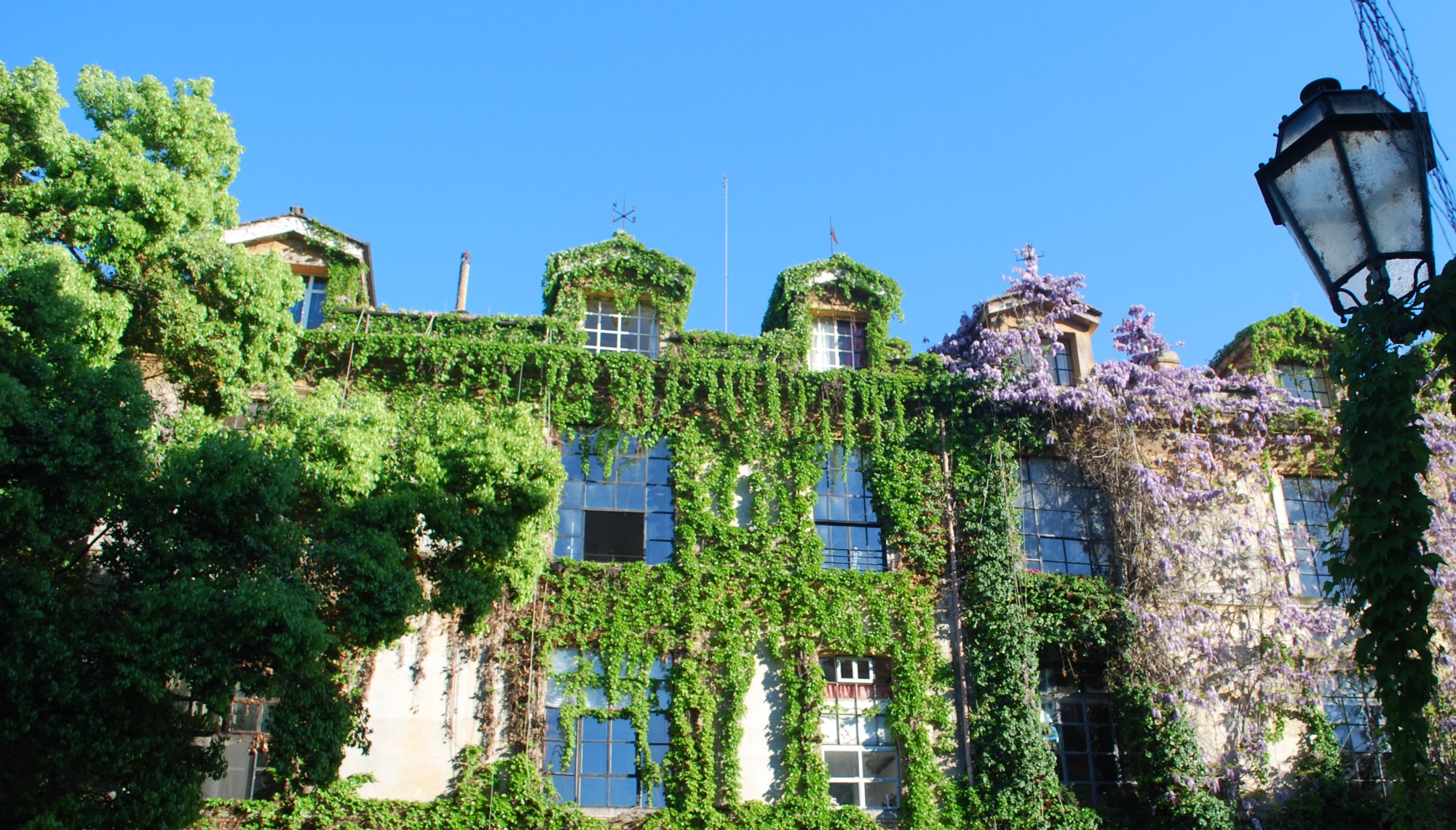 Via Margutta Roma Dixit